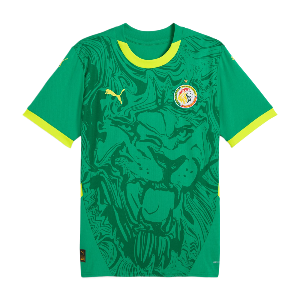 Senegal Auswärtstrikot 2026