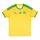 2026 South Africa Home Kit World Cup