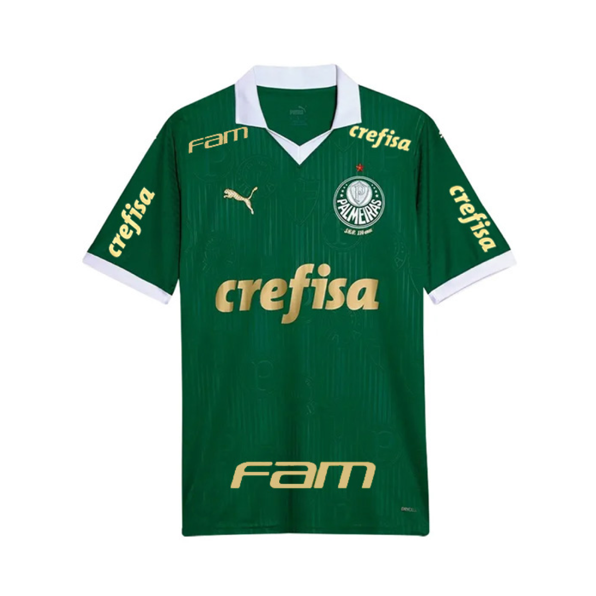 2024-25 SE Palmeiras Heimtrikot