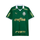 2024-25 SE Palmeiras Heimtrikot