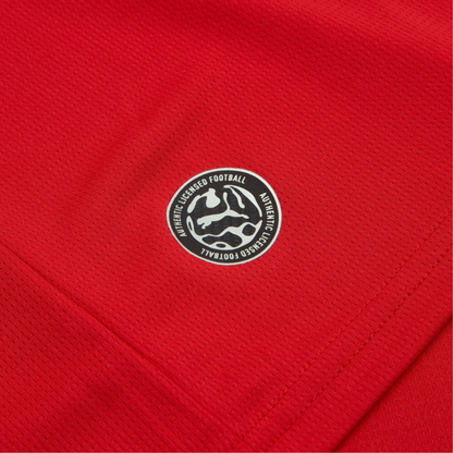 2026 Czech Republic Home Kit World Cup