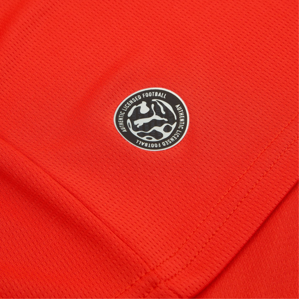 2026 Austria Home Kit World Cup